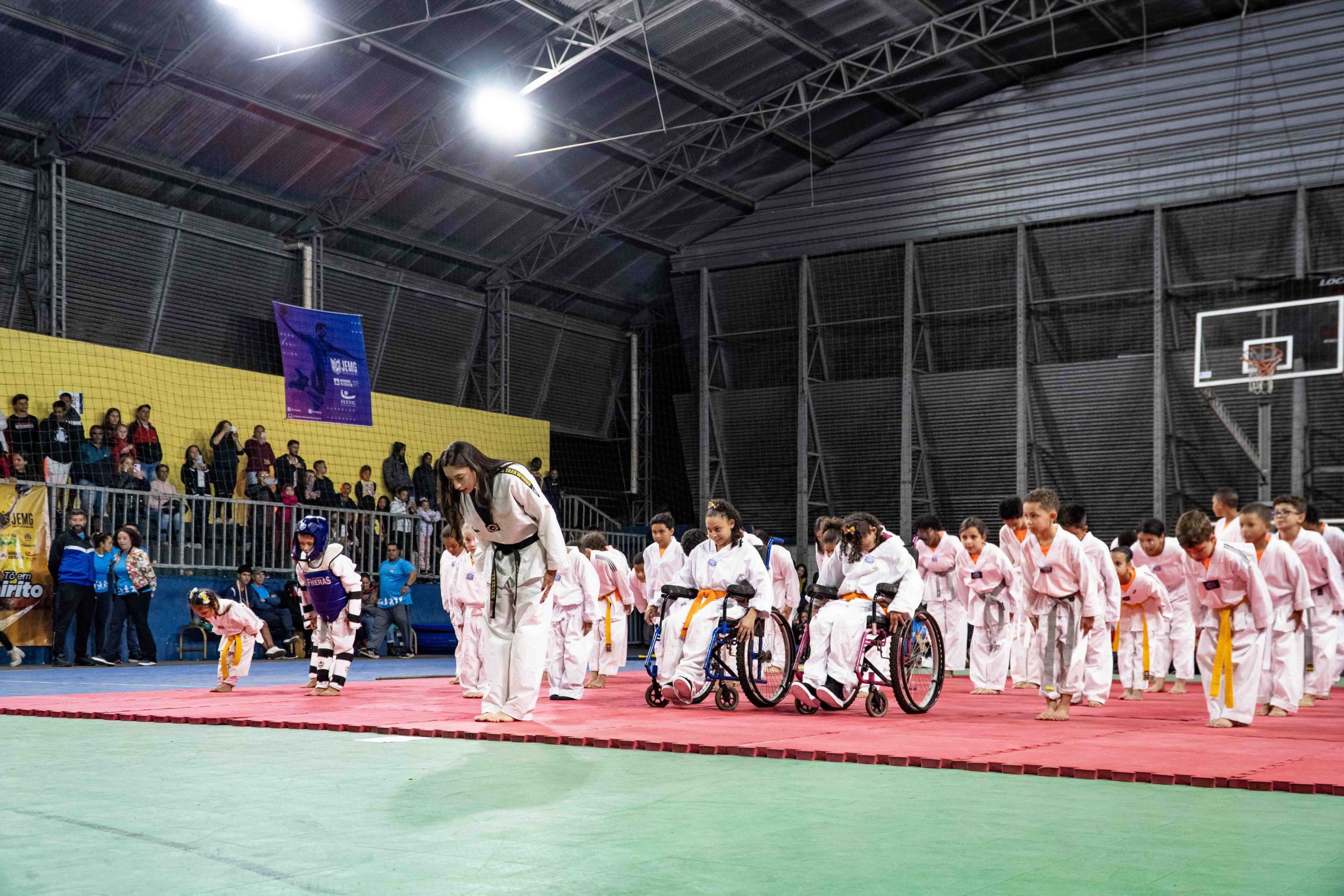 Sobre - Federação de Esportes Estudantis de Minas Gerais