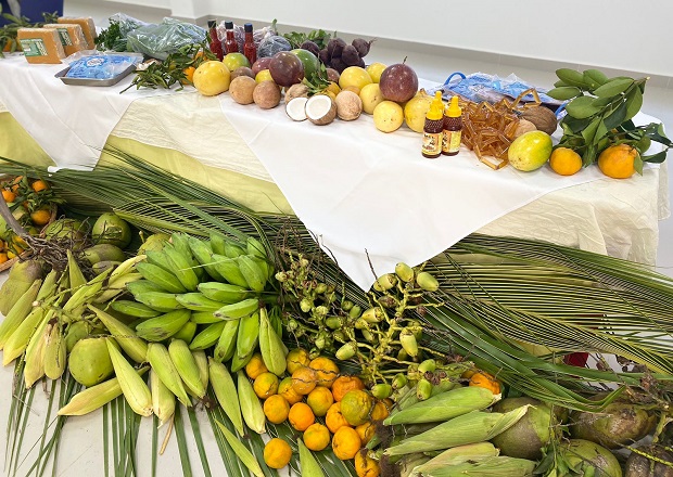 Emater e Educação promovem seminário sobre alimentação escolar nas 47 Superintendências Regionais de Ensino